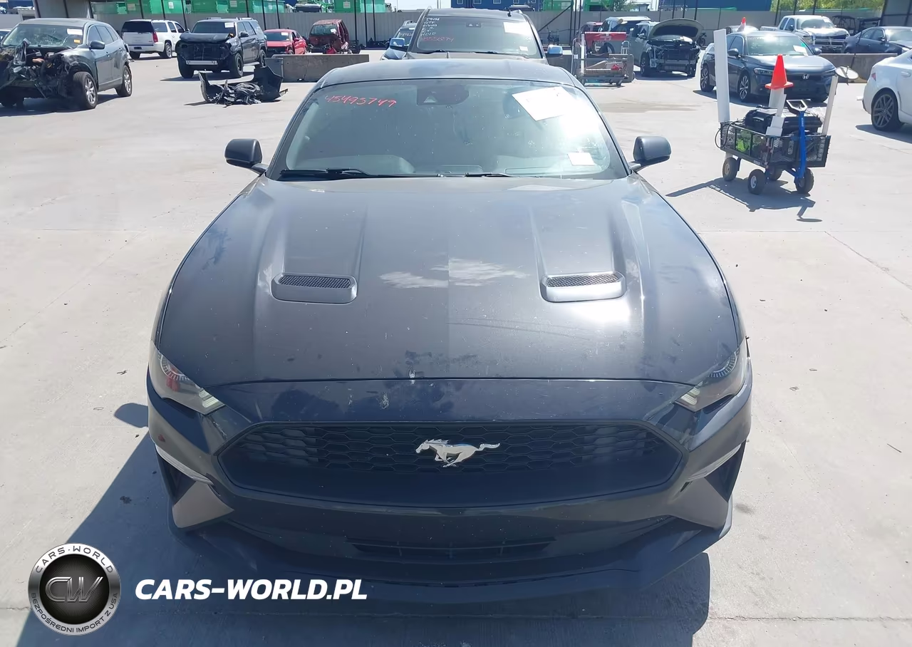 2022 Ford Mustang Ecoboost Premium Fastback VIN:1FA6P8TH2N5134997 - 12