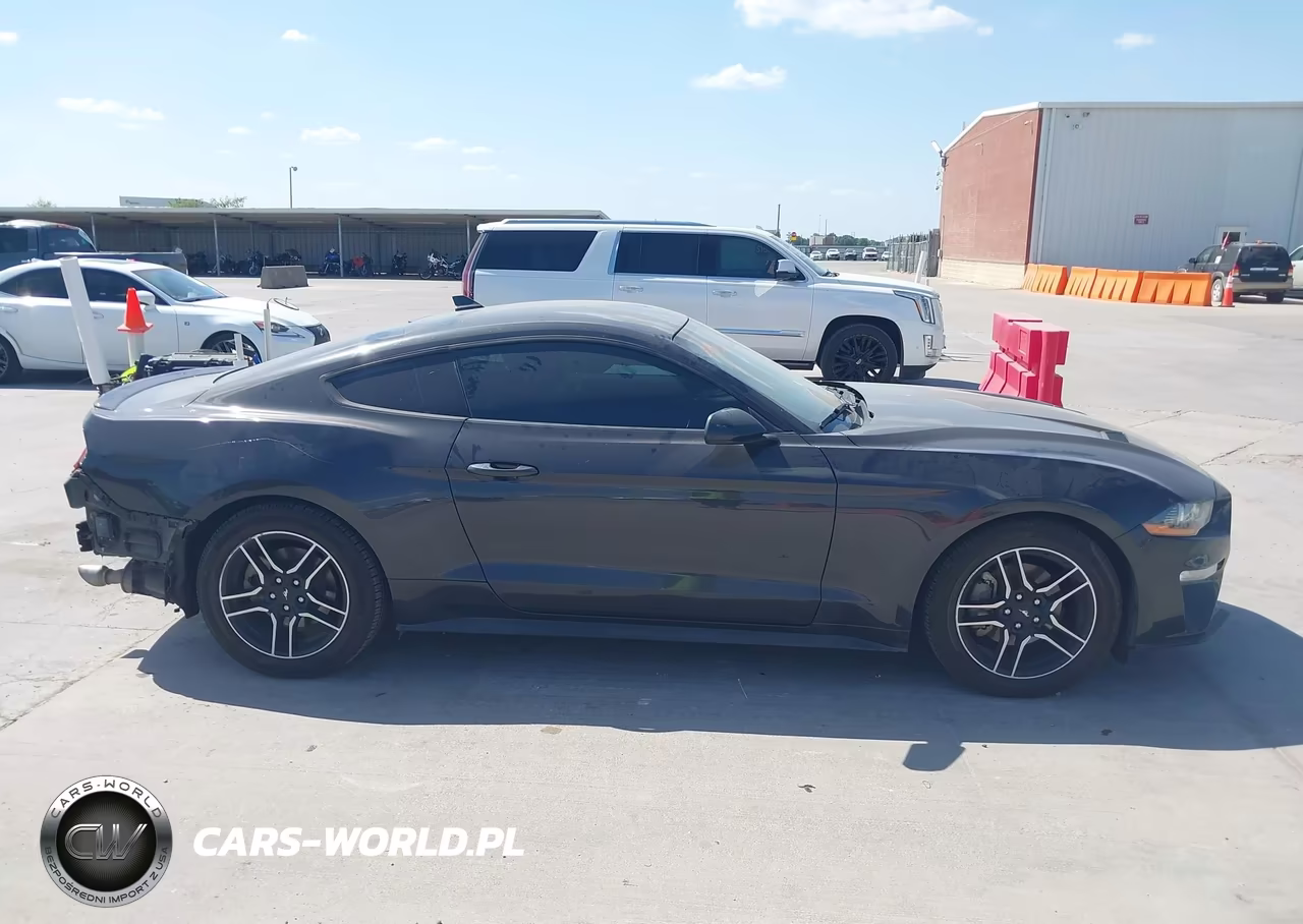 2022 Ford Mustang Ecoboost Premium Fastback VIN:1FA6P8TH2N5134997 - 13