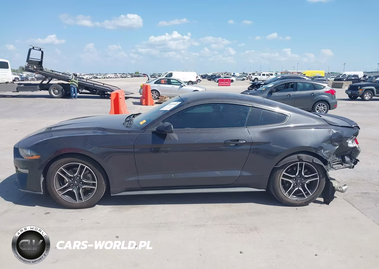 2022 Ford Mustang Ecoboost Premium Fastback VIN:1FA6P8TH2N5134997 - 14