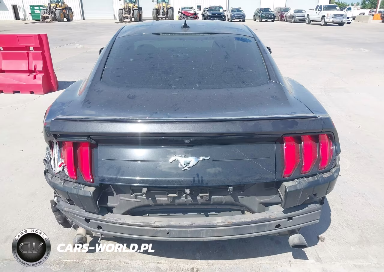 2022 Ford Mustang Ecoboost Premium Fastback VIN:1FA6P8TH2N5134997 - 16