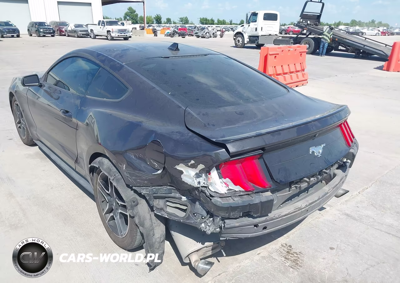 2022 Ford Mustang Ecoboost Premium Fastback VIN:1FA6P8TH2N5134997 - 3