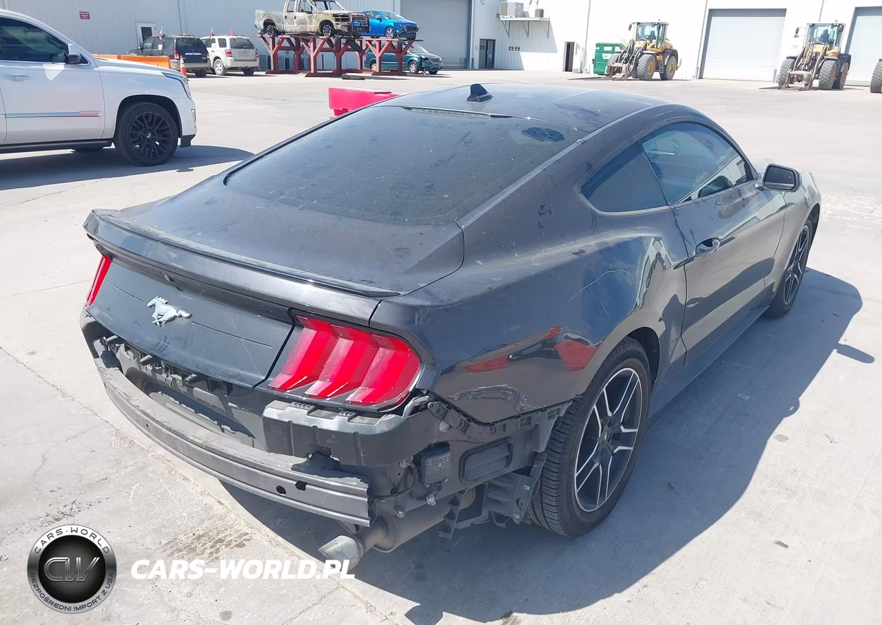 2022 Ford Mustang Ecoboost Premium Fastback VIN:1FA6P8TH2N5134997 - 4
