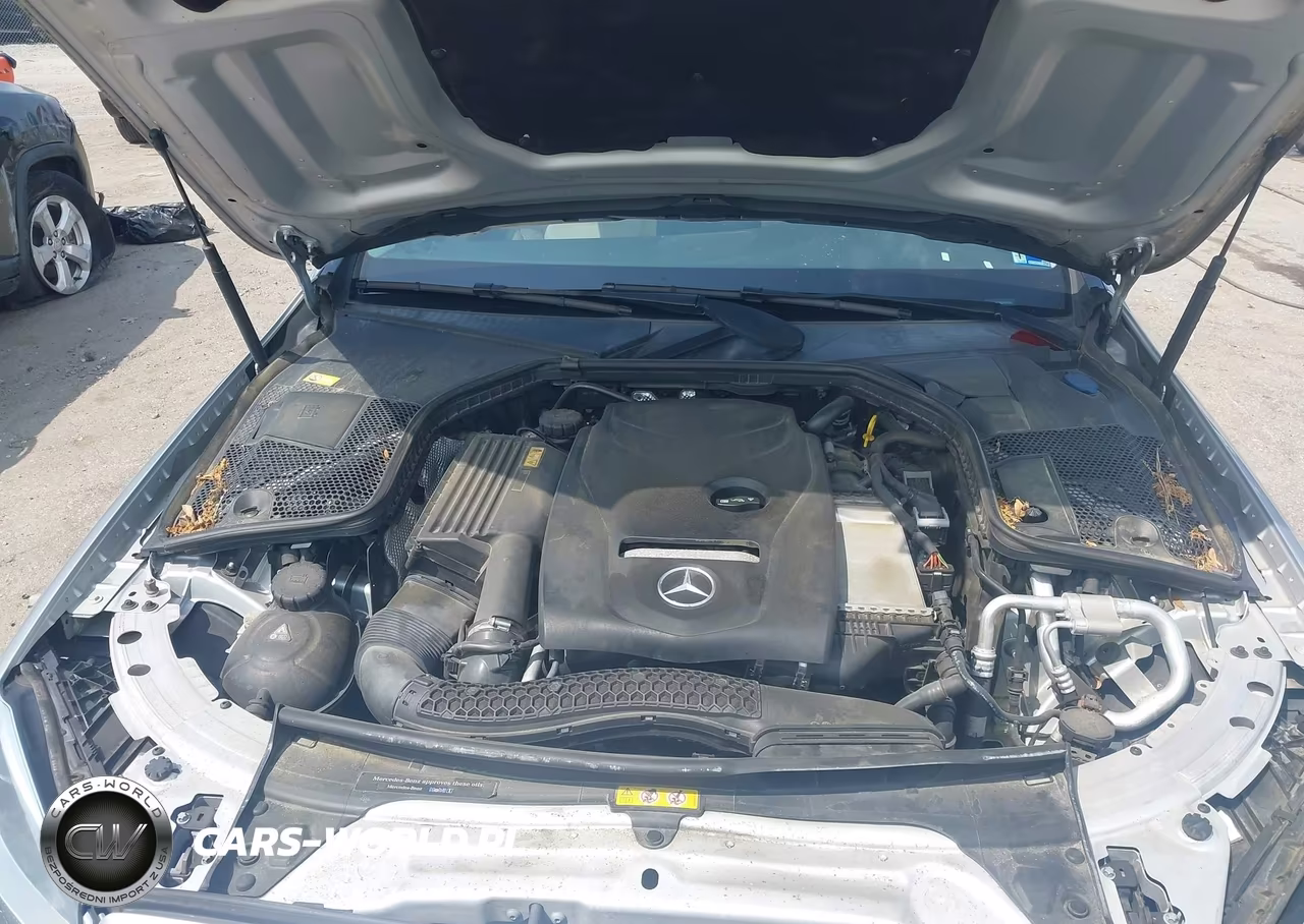 2016 Mercedes-Benz C 300 VIN:55SWF4JB3GU151716 - 10