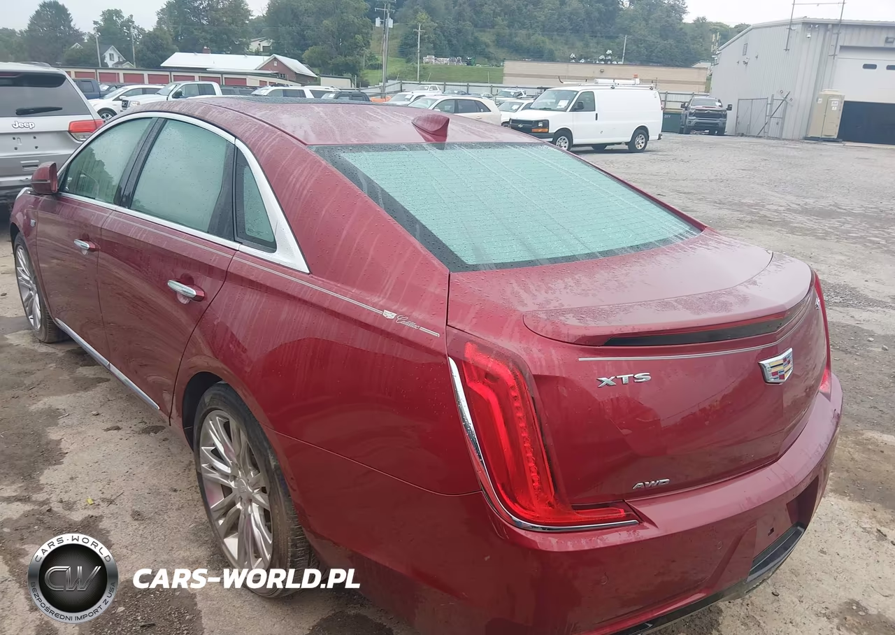 2019 Cadillac Xts Luxury VIN:2G61N5S38K9157507 - 3