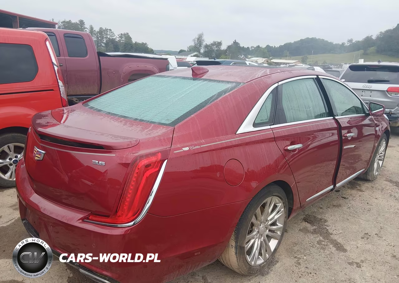 2019 Cadillac Xts Luxury VIN:2G61N5S38K9157507 - 4