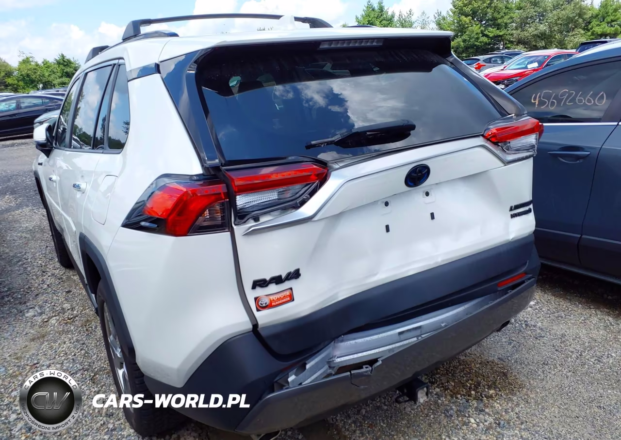 2020 Toyota Rav4 Hybrid Limited VIN:JTMDWRFV8LJ040767 - 17