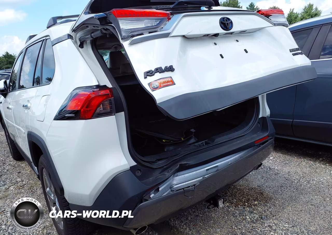 2020 Toyota Rav4 Hybrid Limited VIN:JTMDWRFV8LJ040767 - 18