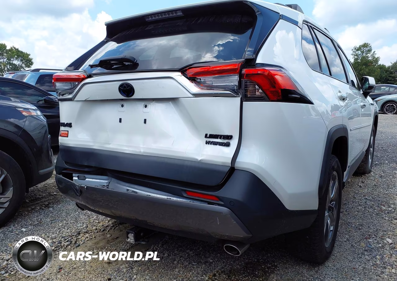 2020 Toyota Rav4 Hybrid Limited VIN:JTMDWRFV8LJ040767 - 19