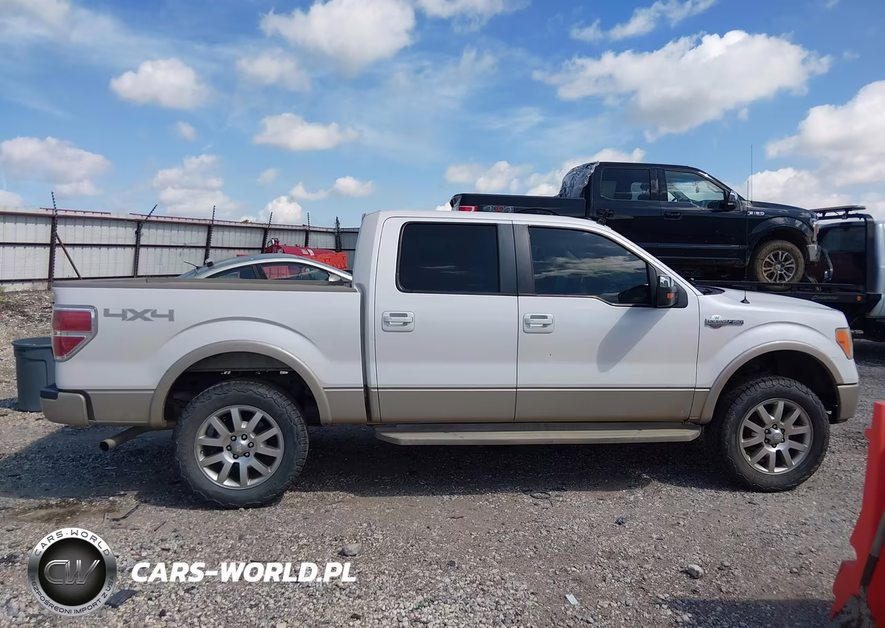 2010 Ford F-150 Fx4-Harley-Davidson-King Ranch-Lariat-Platinum-Xl-Xlt VIN:1FTFW1EVXAKE36167 - 13