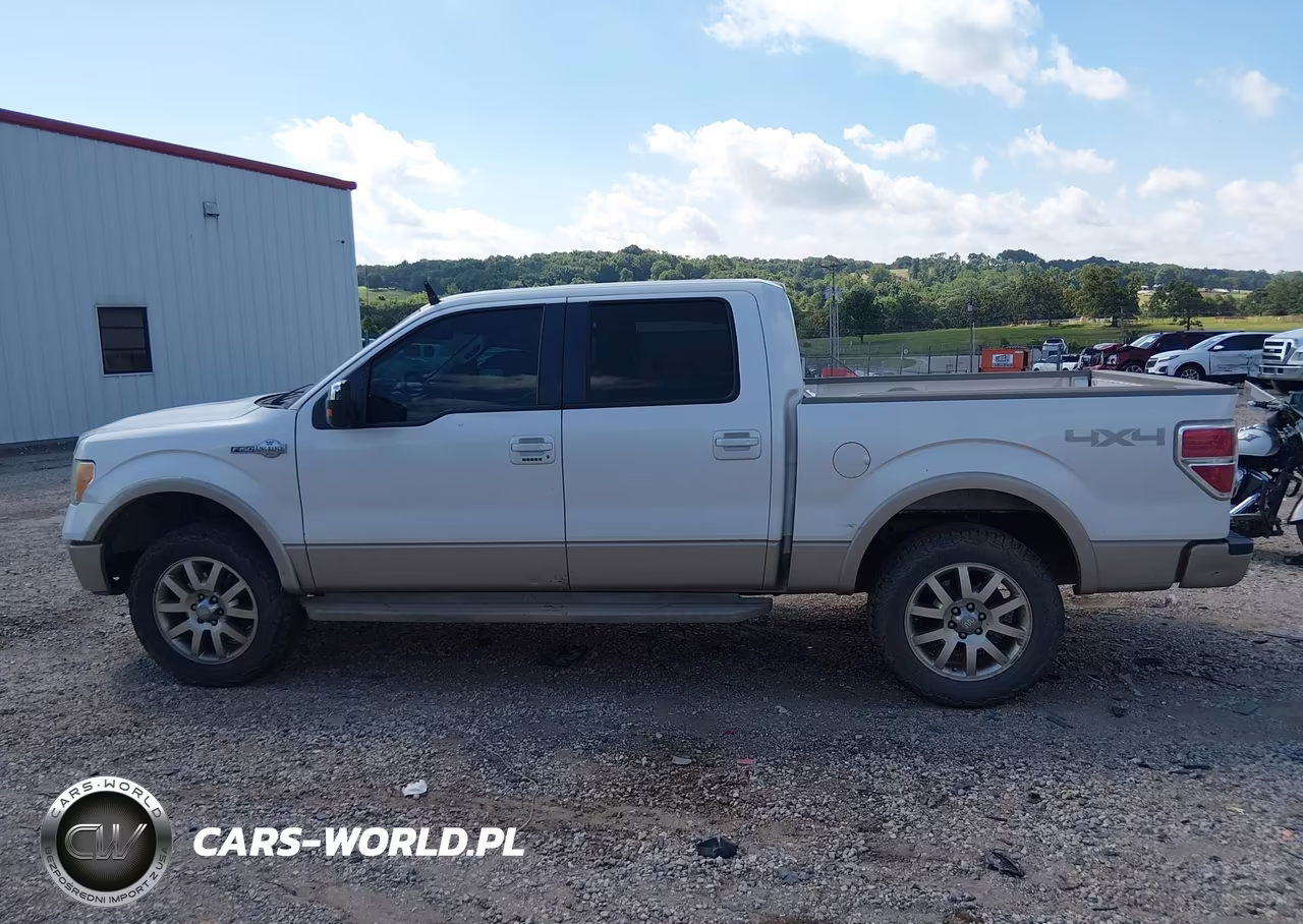 2010 Ford F-150 Fx4-Harley-Davidson-King Ranch-Lariat-Platinum-Xl-Xlt VIN:1FTFW1EVXAKE36167 - 14