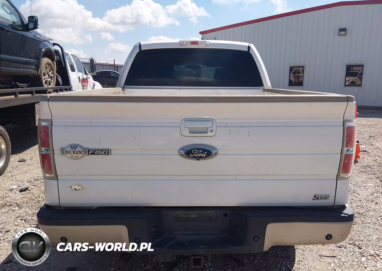 2010 Ford F-150 Fx4-Harley-Davidson-King Ranch-Lariat-Platinum-Xl-Xlt VIN:1FTFW1EVXAKE36167 - 16