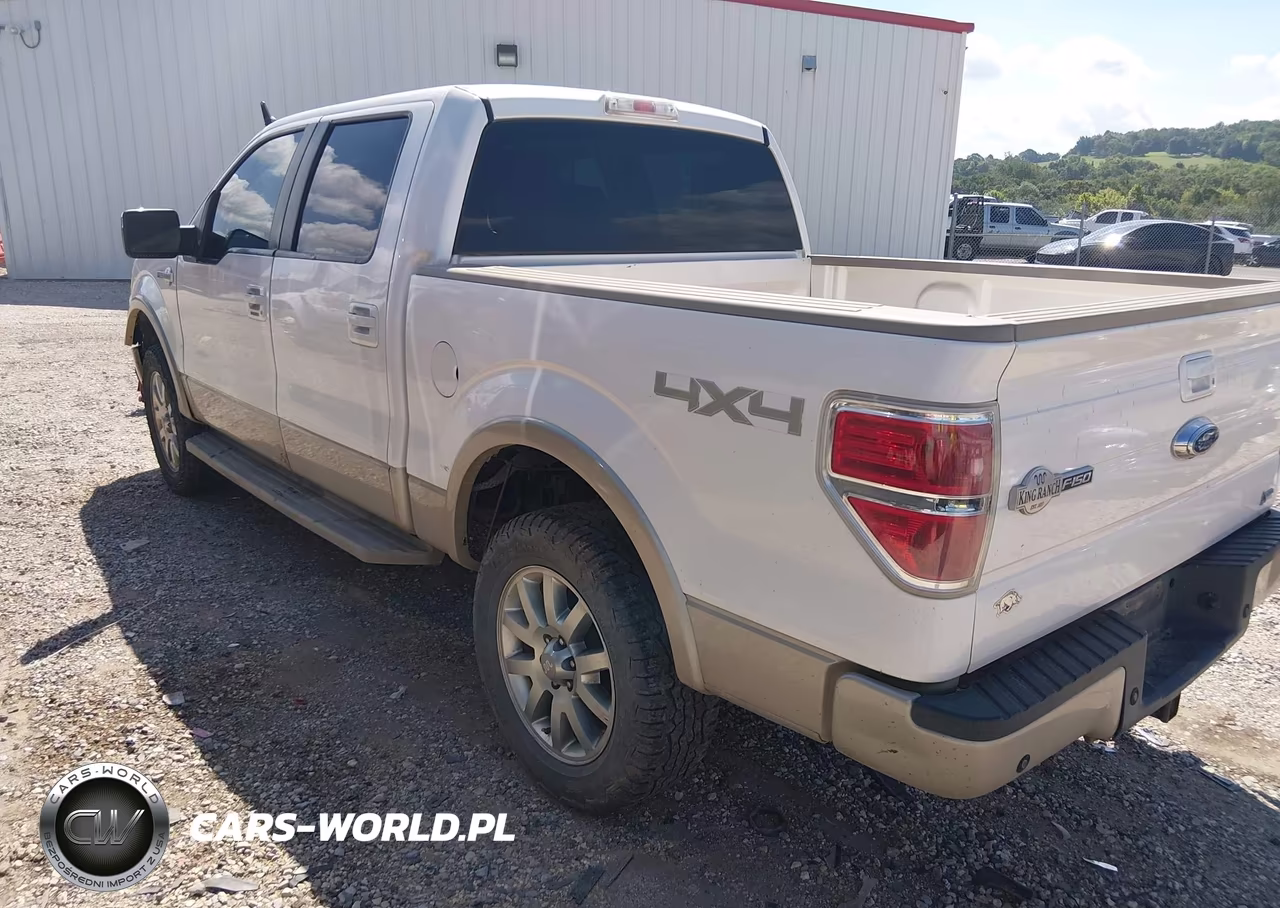 2010 Ford F-150 Fx4-Harley-Davidson-King Ranch-Lariat-Platinum-Xl-Xlt VIN:1FTFW1EVXAKE36167 - 3