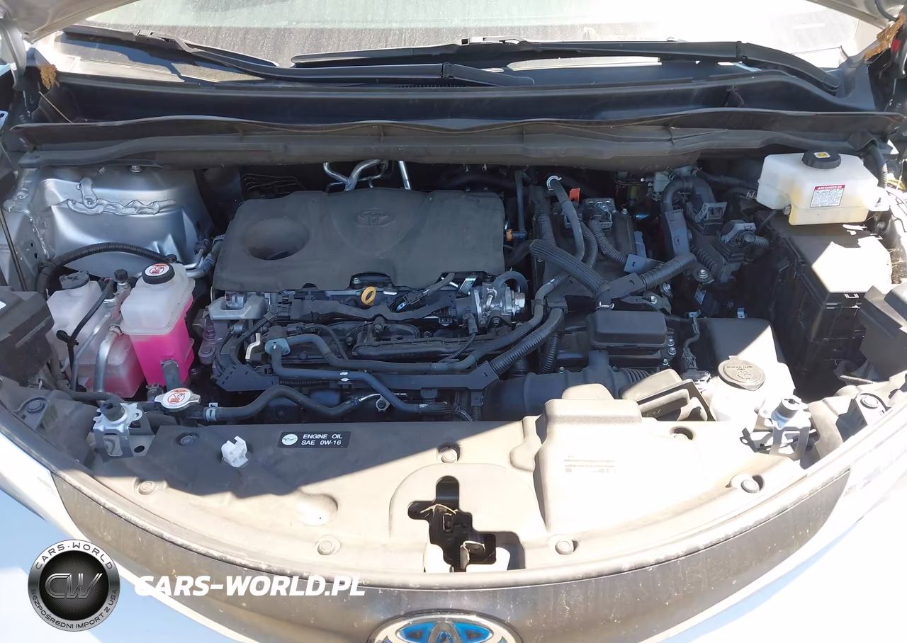 2023 Toyota Sienna Xle VIN:5TDYRKEC5PS165816 - 10