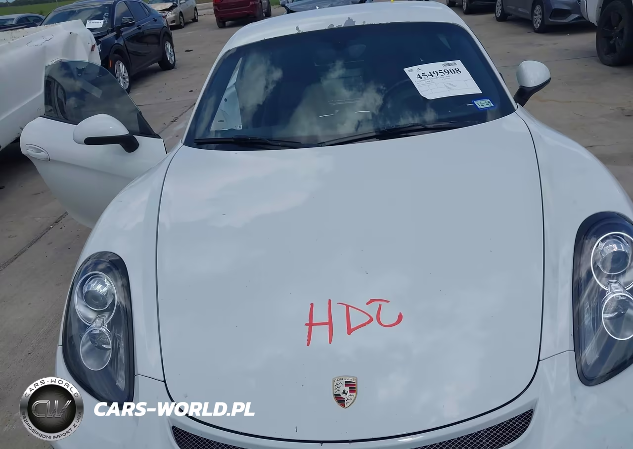 2015 Porsche Cayman S VIN:WP0AB2A8XFK184875 - 10