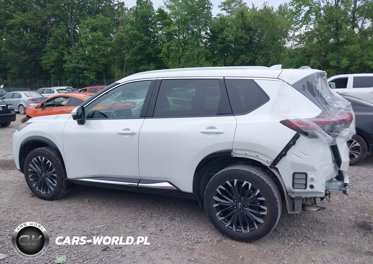 2024 Nissan Rogue Platinum Intelligent Awd VIN:JN8BT3DD5RW454046 - 13