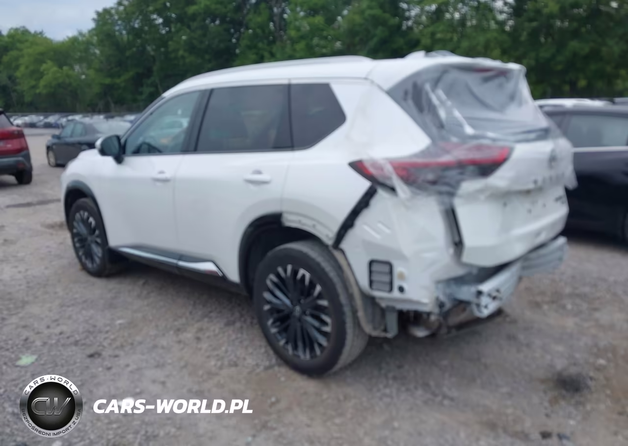 2024 Nissan Rogue Platinum Intelligent Awd VIN:JN8BT3DD5RW454046 - 3