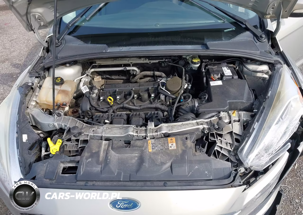 2016 Ford Focus Se VIN:1FADP3F26GL220104 - 10