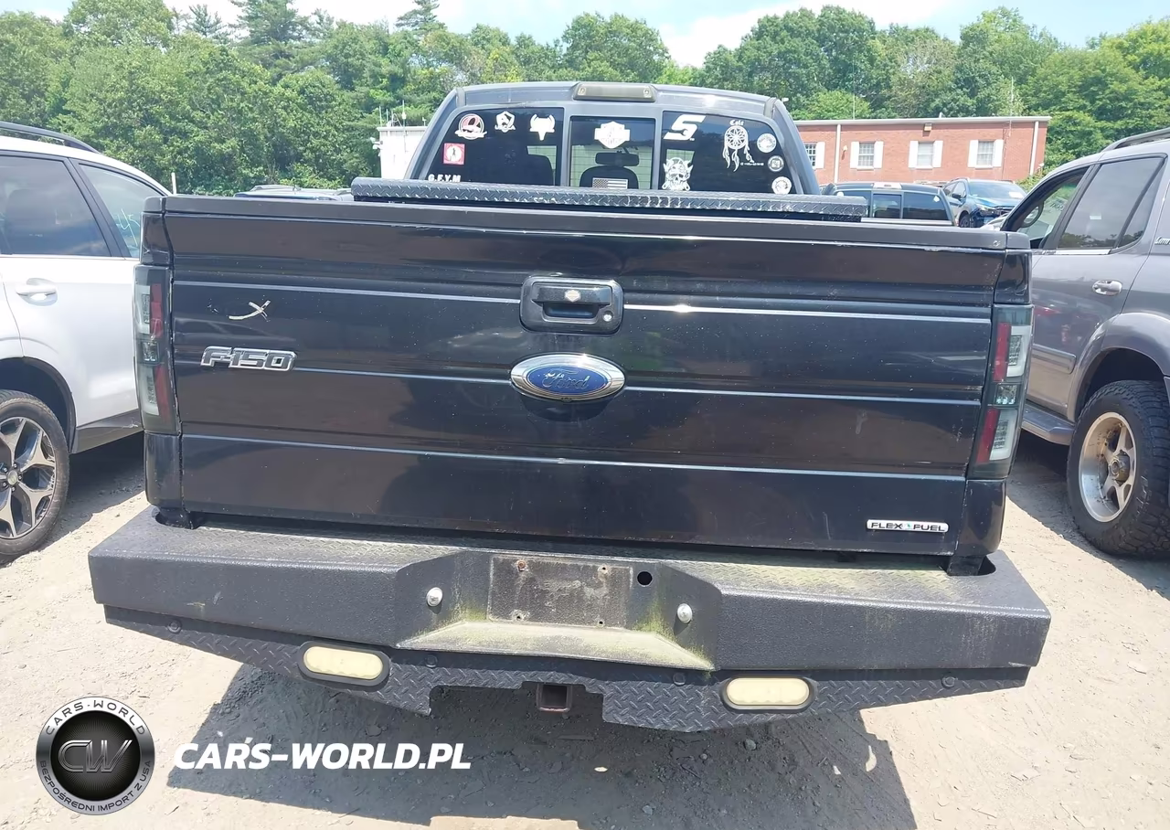 2011 Ford F-150 Fx4-Lariat-Stx-Xl-Xlt VIN:1FTFX1EF6BFB36495 - 16