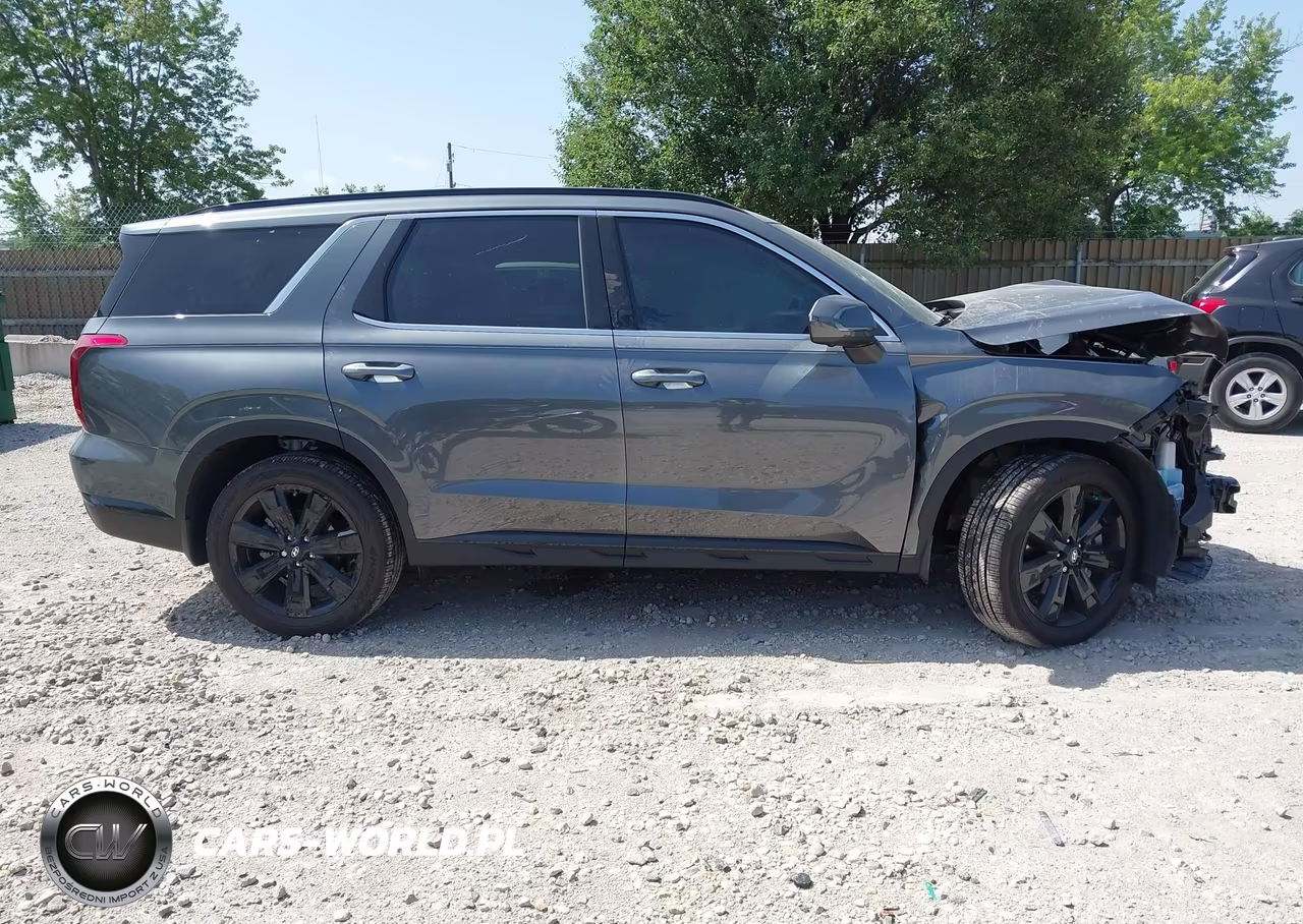2025 Hyundai Palisade Xrt VIN:KM8R3DGE0SU850497 - 13