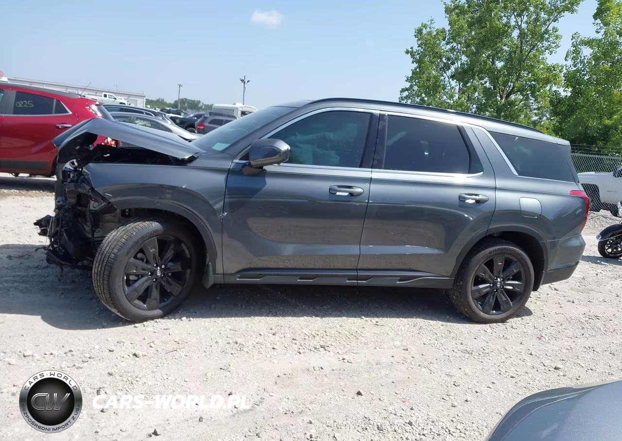 2025 Hyundai Palisade Xrt VIN:KM8R3DGE0SU850497 - 14