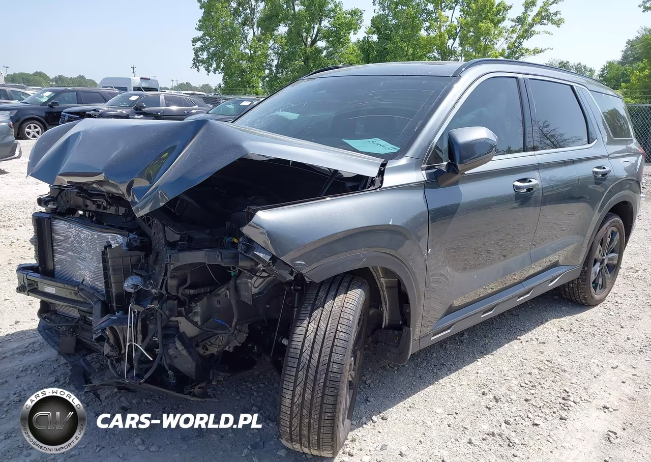 2025 Hyundai Palisade Xrt VIN:KM8R3DGE0SU850497 - 2