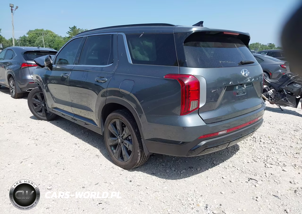 2025 Hyundai Palisade Xrt VIN:KM8R3DGE0SU850497 - 3