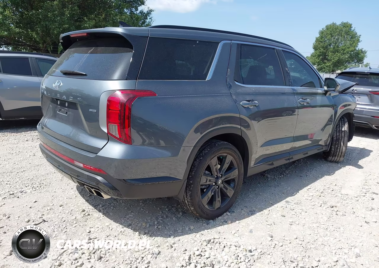 2025 Hyundai Palisade Xrt VIN:KM8R3DGE0SU850497 - 4