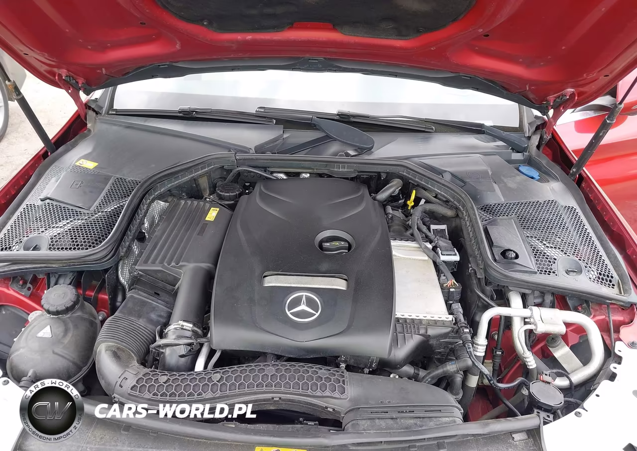 2016 Mercedes-Benz C 300 VIN:55SWF4JB2GU133885 - 10
