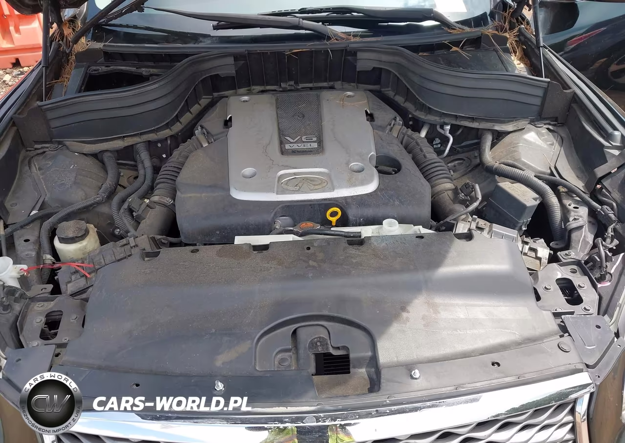 2016 Infiniti Qx50 VIN:JN1BJ0RP0GM235011 - 10