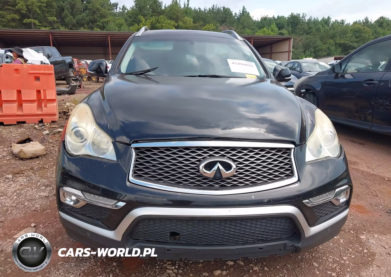 2016 Infiniti Qx50 VIN:JN1BJ0RP0GM235011 - 12