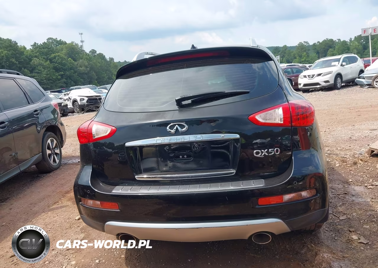 2016 Infiniti Qx50 VIN:JN1BJ0RP0GM235011 - 16