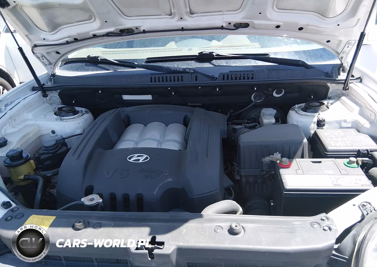 2006 Hyundai Santa Fe Gls VIN:KM8SC73D16U111239 - 10