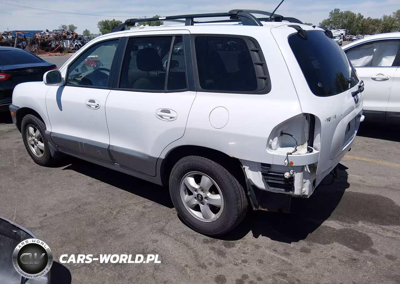 2006 Hyundai Santa Fe Gls VIN:KM8SC73D16U111239 - 3