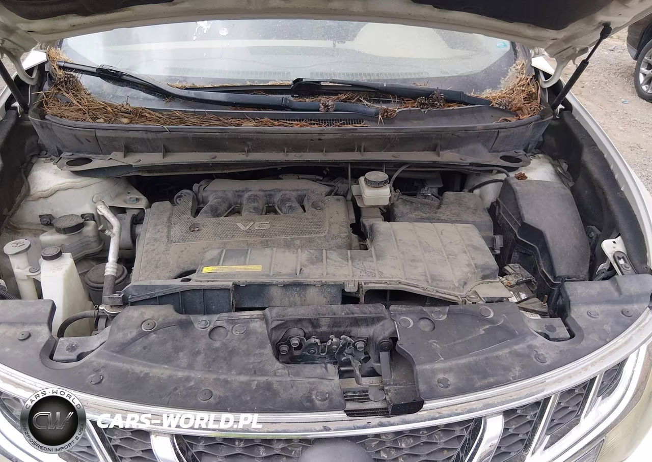 2012 Nissan Murano Sv VIN:JN8AZ1MW1CW226021 - 10