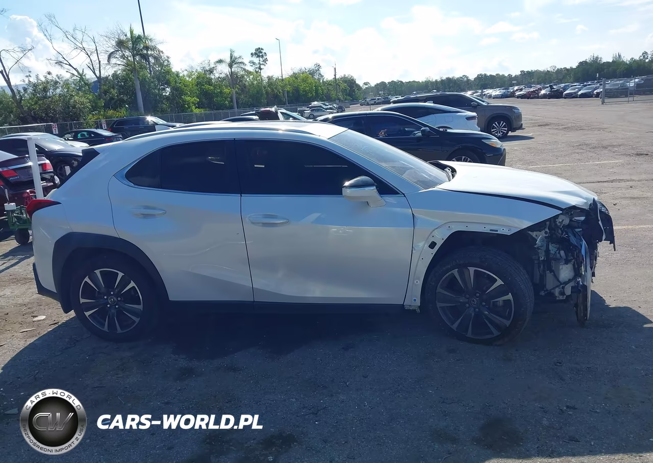 2021 Lexus Ux 200 VIN:JTHP3JBH2M2045271 - 13