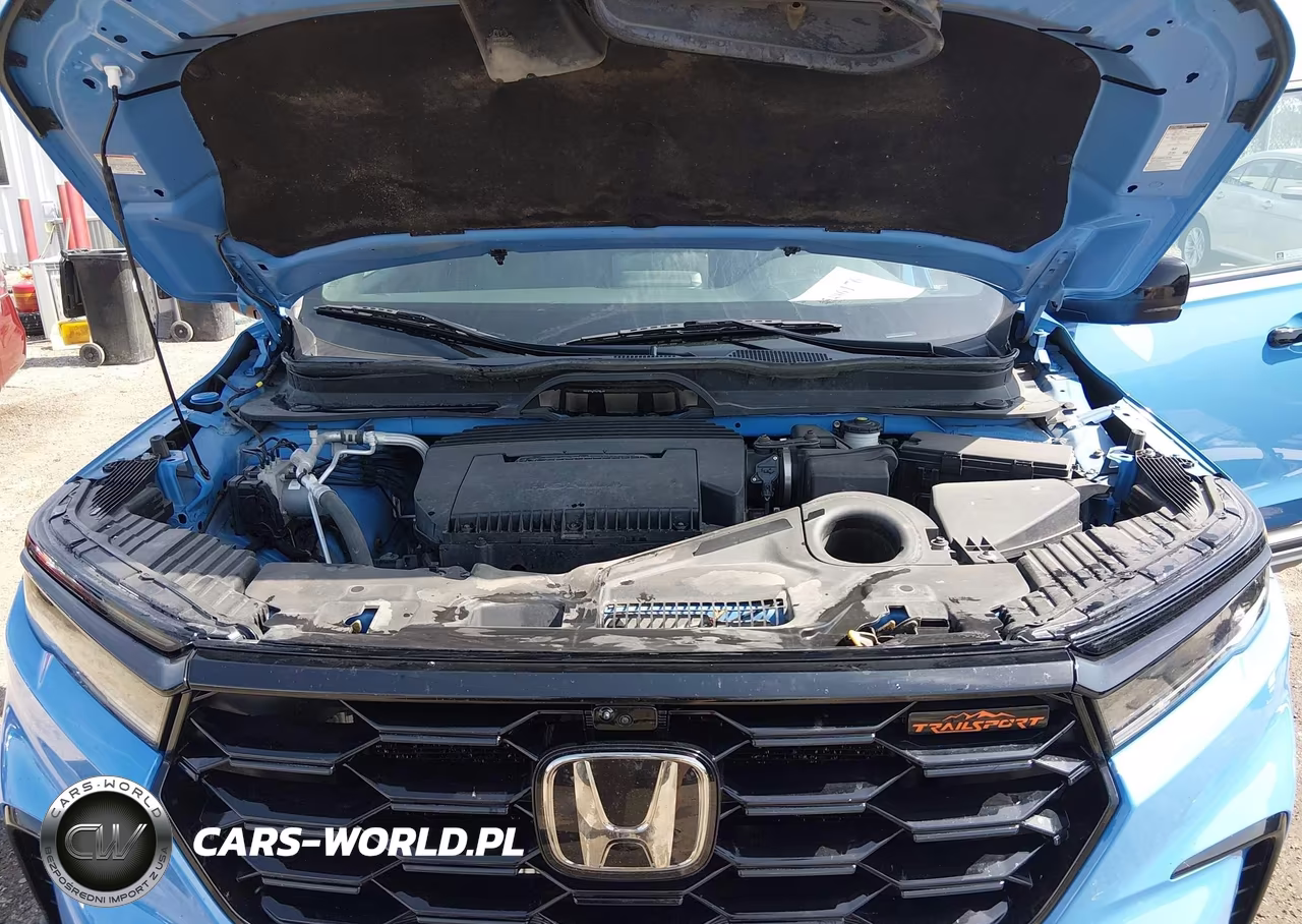 2023 Honda Pilot Awd Trailsport VIN:5FNYG1H69PB001091 - 10