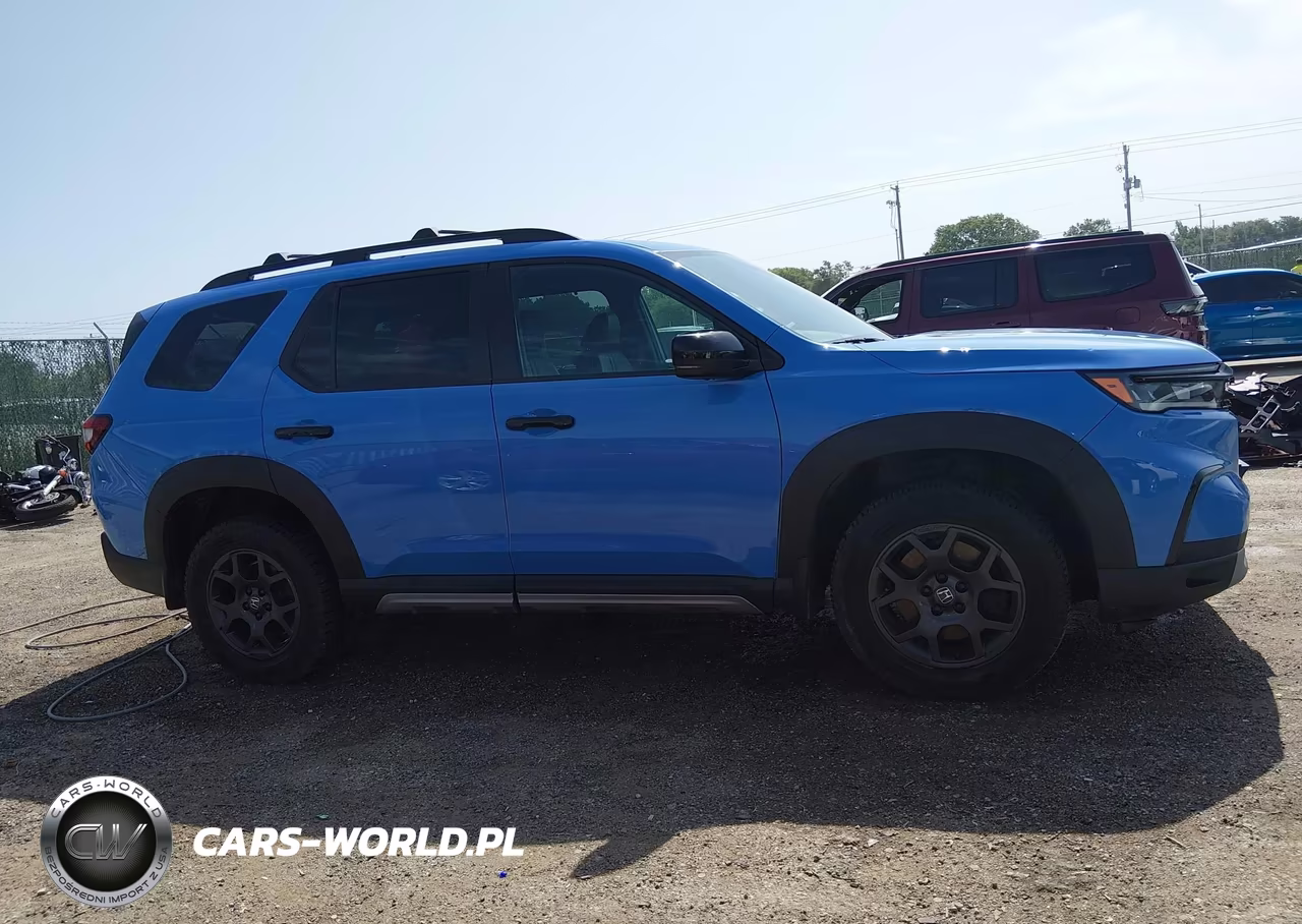 2023 Honda Pilot Awd Trailsport VIN:5FNYG1H69PB001091 - 13