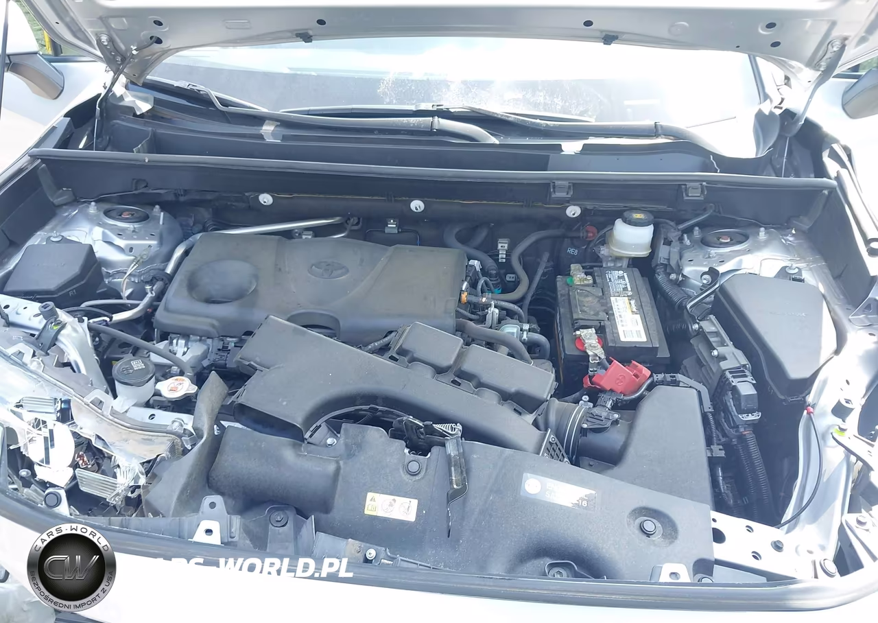 2019 Toyota Rav4 Xle VIN:JTMW1RFV8KJ016734 - 10