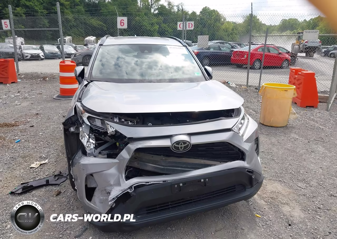 2019 Toyota Rav4 Xle VIN:JTMW1RFV8KJ016734 - 12