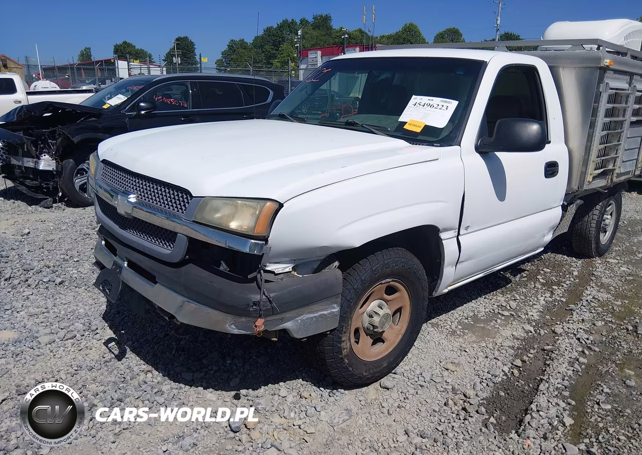 2003 Chevrolet Silverado 1500 Work Truck VIN:1GCEC14VX3Z112555 - 19
