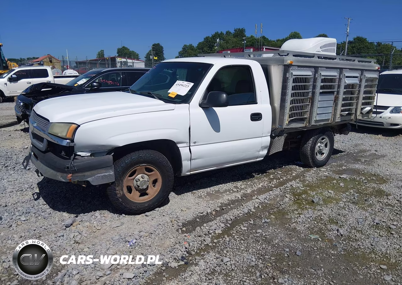 2003 Chevrolet Silverado 1500 Work Truck VIN:1GCEC14VX3Z112555 - 2