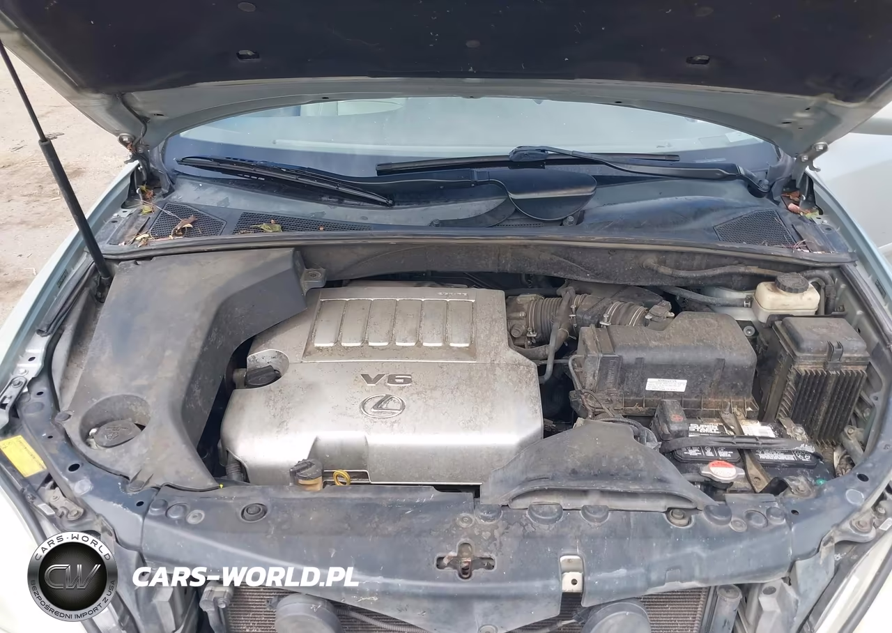 2009 Lexus Rx 350 VIN:2T2HK31U09C106737 - 10