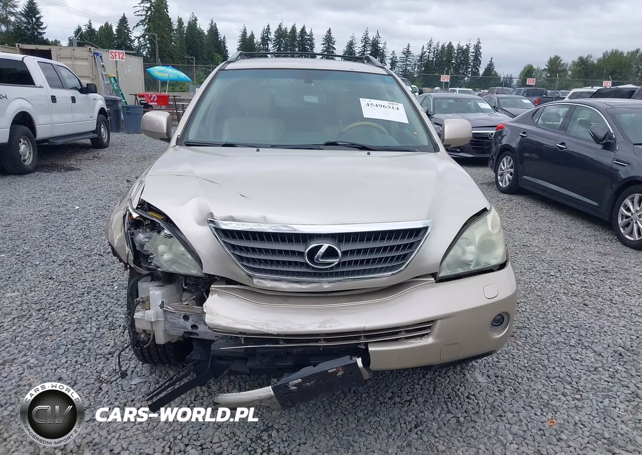 2007 Lexus Rx 400H VIN:JTJHW31U072010804 - 12