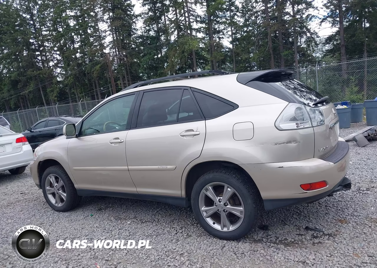 2007 Lexus Rx 400H VIN:JTJHW31U072010804 - 14