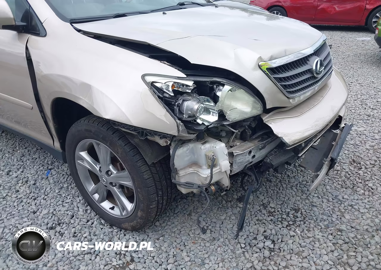 2007 Lexus Rx 400H VIN:JTJHW31U072010804 - 6