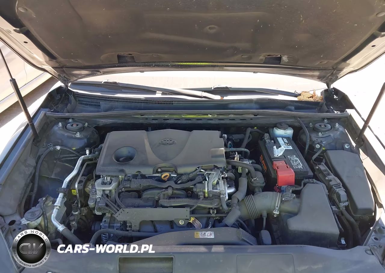 2019 Toyota Camry Le VIN:4T1B11HK7KU825364 - 10