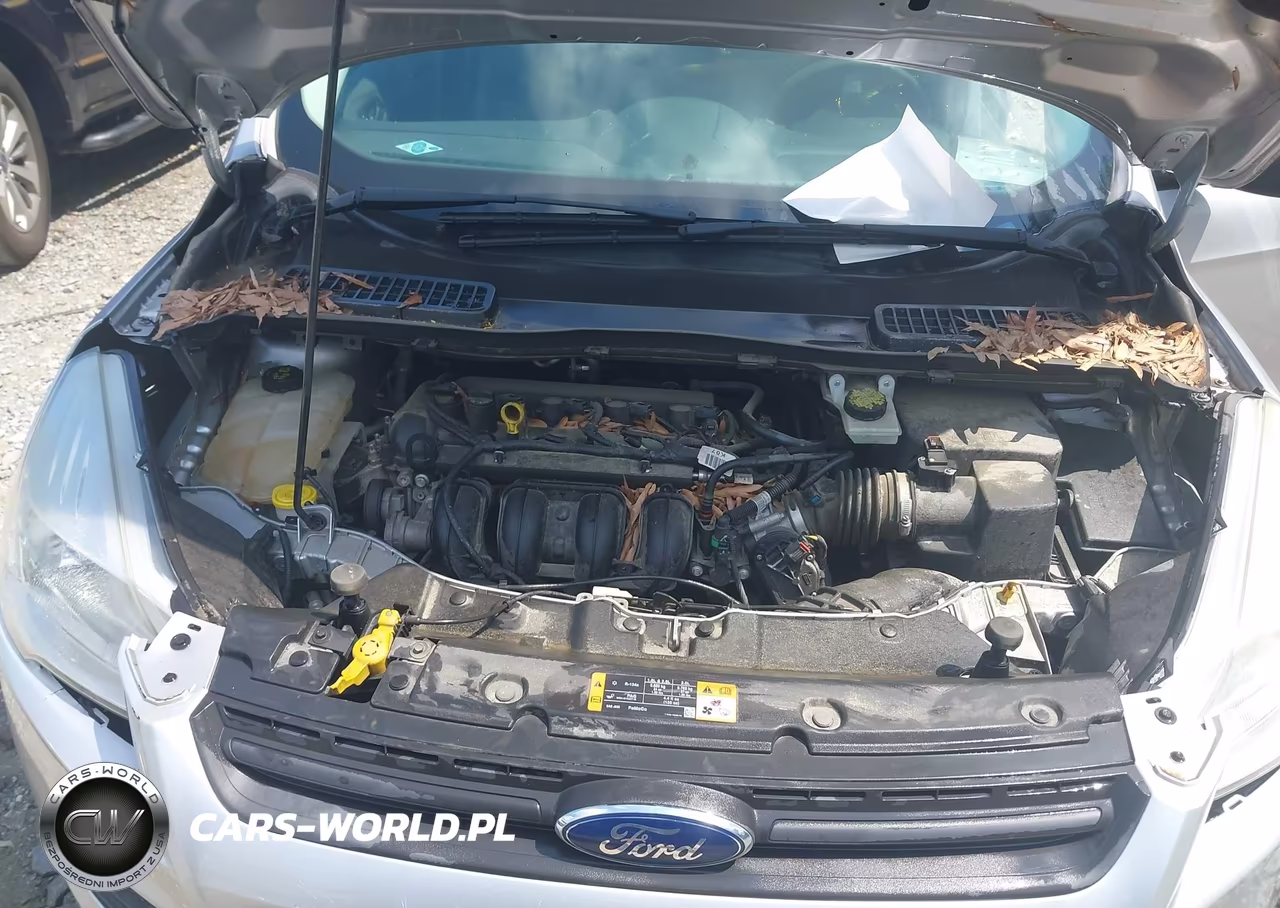 2016 Ford Escape S VIN:1FMCU0F77GUC04069 - 10