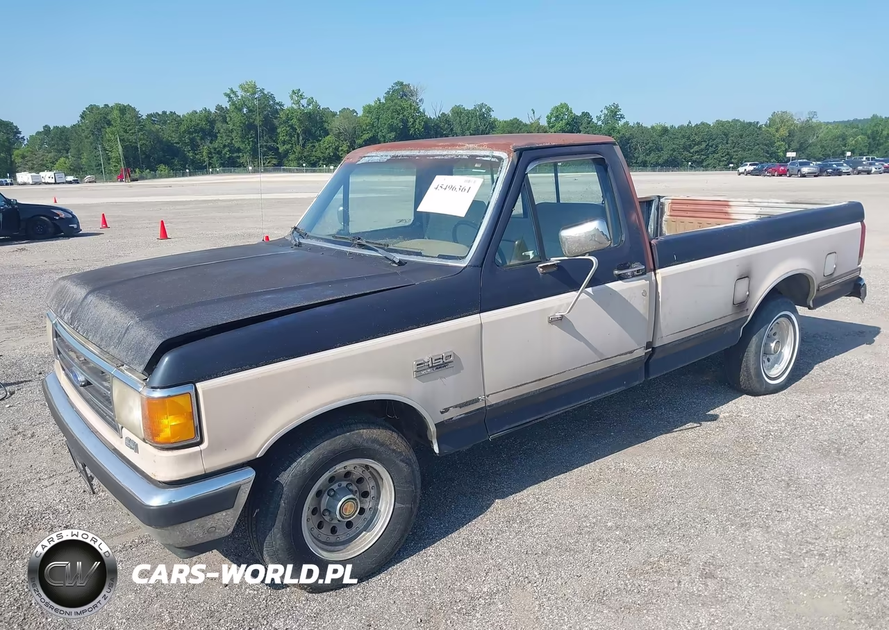 1991 Ford F150 VIN:1FTDF15N2MNA01850 - 2
