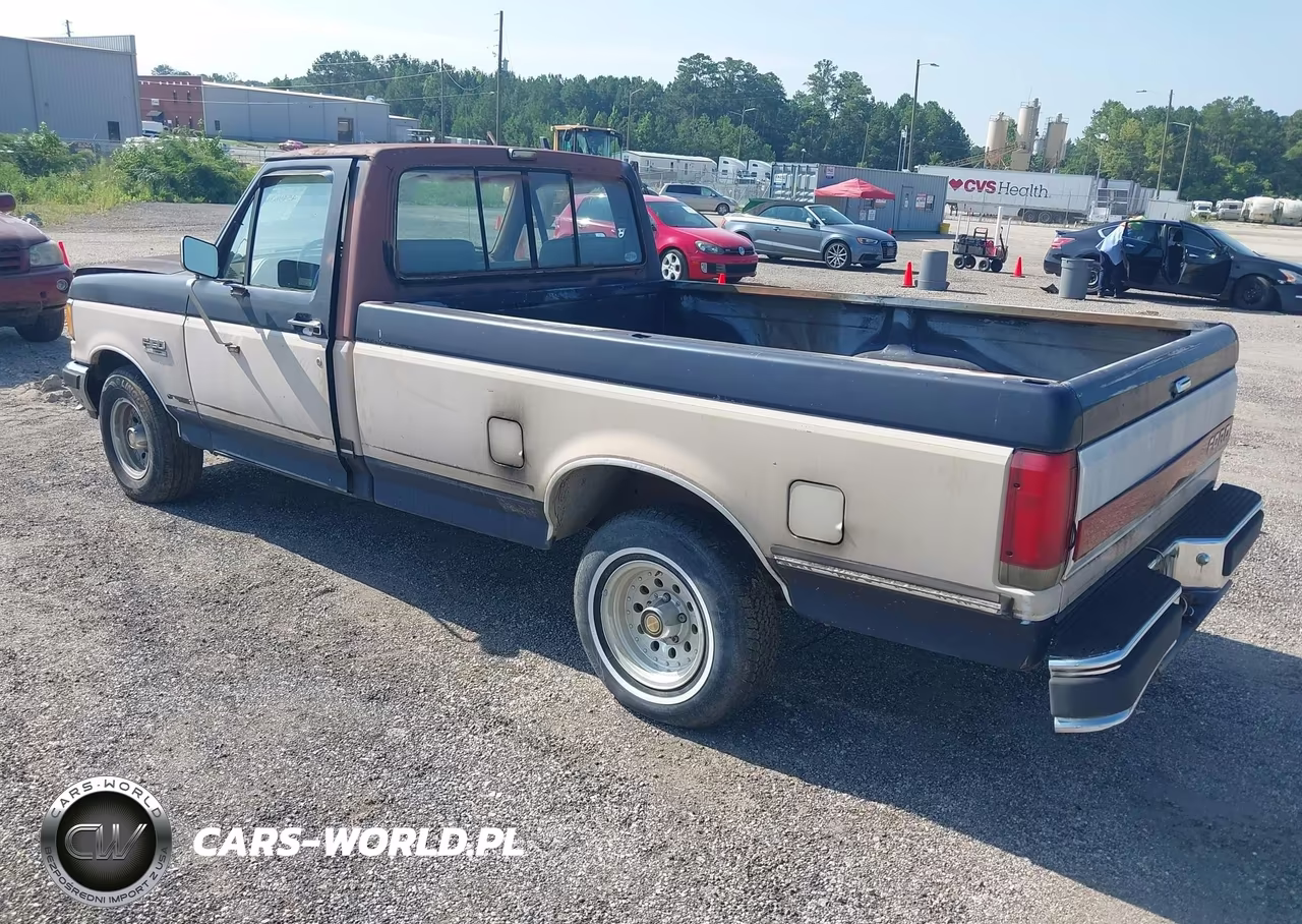 1991 Ford F150 VIN:1FTDF15N2MNA01850 - 3