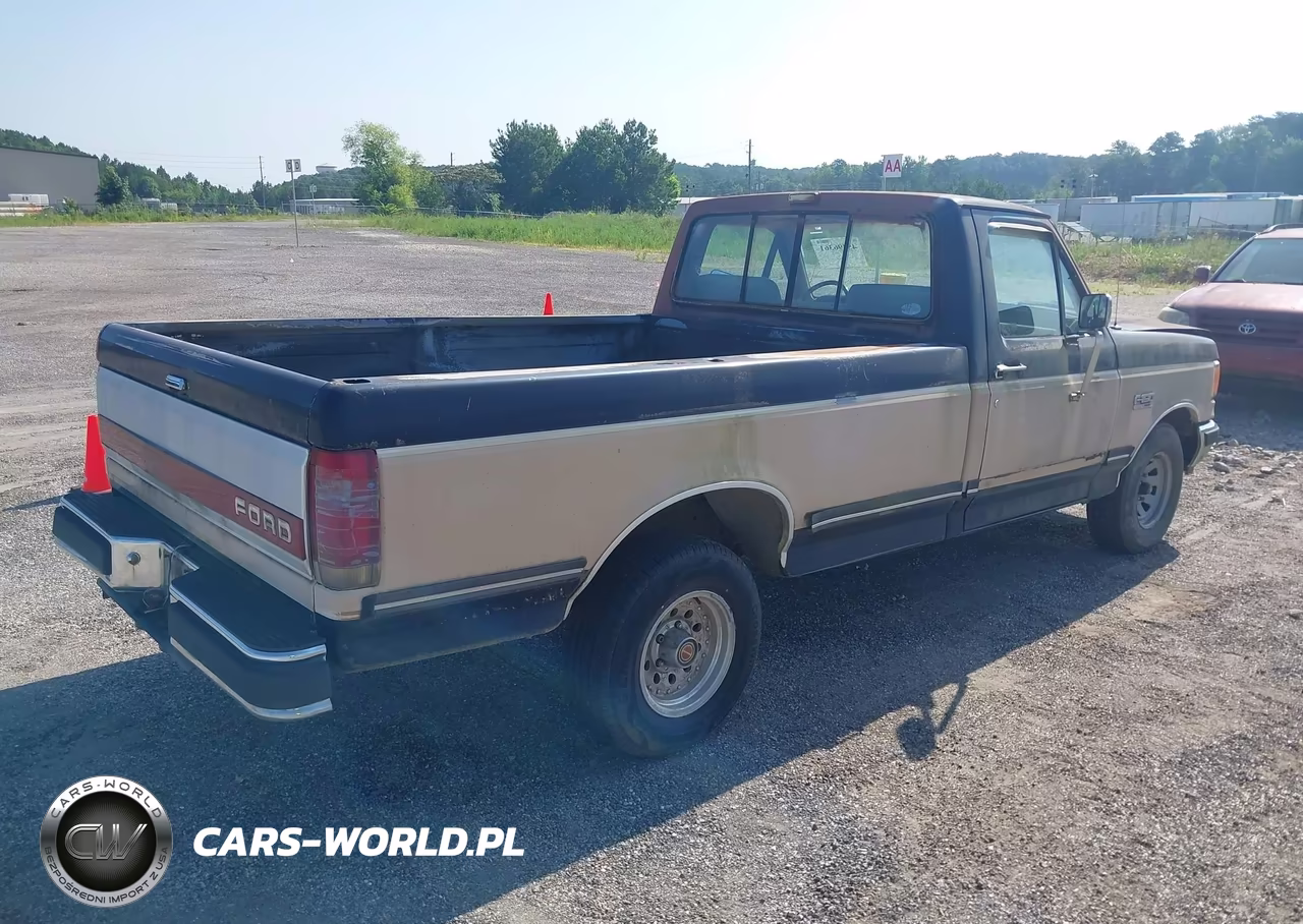 1991 Ford F150 VIN:1FTDF15N2MNA01850 - 4